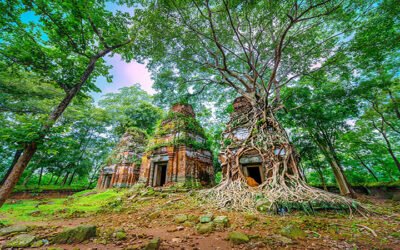 Angkor Wat with Small Circle Tour